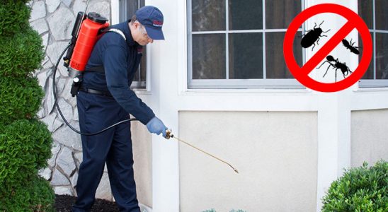Sakarya Hamam Böceği İlaçlama böcek ilaçlama ve haşere kontrolü — ilaclama-tr.com
